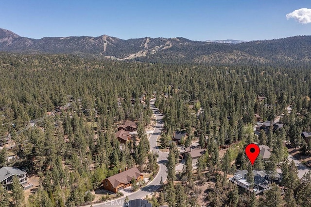 255 Echo Hill Rd, Big Bear Lake, CA 92315 - photo 67