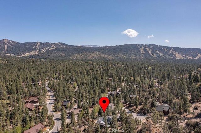 255 Echo Hill Rd, Big Bear Lake, CA 92315 - photo 68