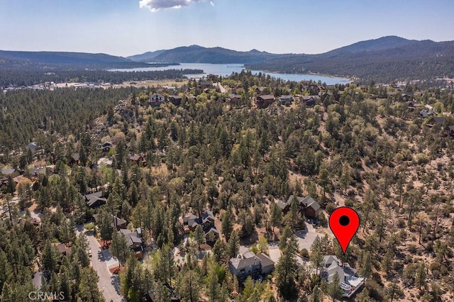 255 Echo Hill Rd, Big Bear Lake, CA 92315 - photo 69