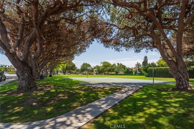 17300 Buttonwood St, Fountain Valley, CA 92708 - view of home's community featuring a lawn and community basketball court