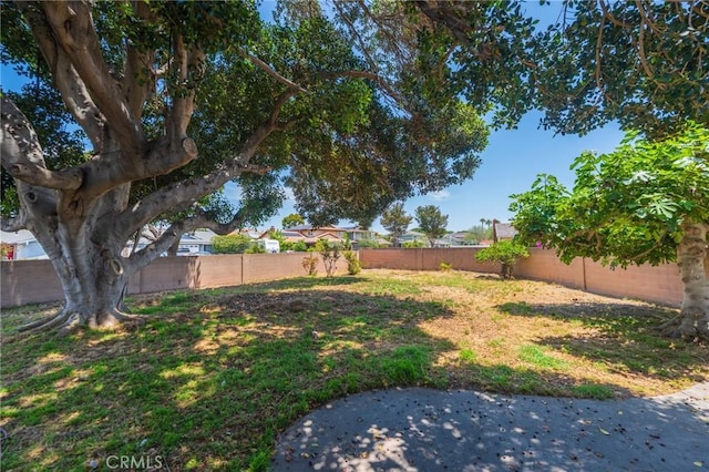 17300 Buttonwood St, Fountain Valley, CA 92708 - fenced backyard with a patio area