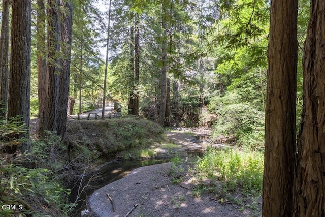 31351 Comptche Ukiah Rd, Comptche, CA 95427 - view of tree filled area