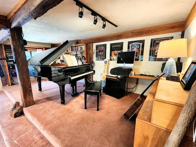 31351 Comptche Ukiah Rd, Comptche, CA 95427 - sitting room featuring carpet floors