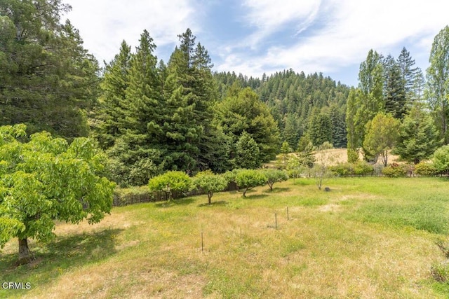 31351 Comptche Ukiah Rd, Comptche, CA 95427 - view of yard with a wooded view