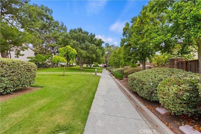 10 Mann St, Irvine, CA 92612 - view of property's community