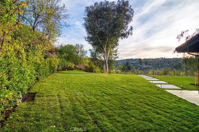 19291 Berclair Ln, Tarzana, CA 91356 - view of yard