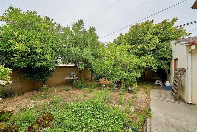 3744 Myrtle Ave, Long Beach, CA 90807 - view of fenced backyard