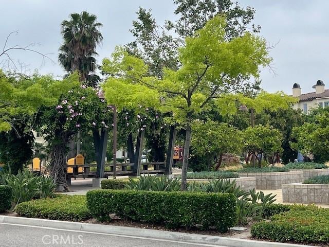 513 E Water St, Anaheim, CA 92805 - view of property's community