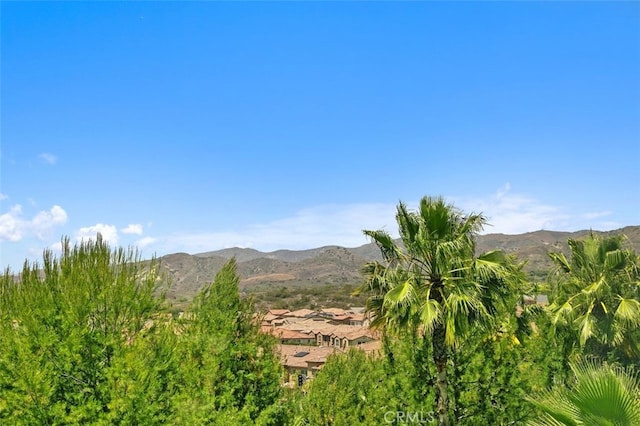11 Juniper, Lake Forest, CA 92630 - mountain view