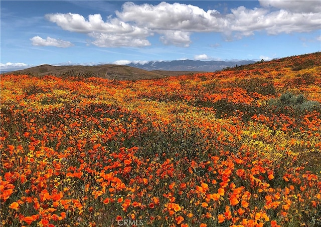 44303 Freer Way, Lancaster, CA 93536 - view of mountain background