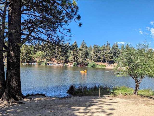 32953 Juniper Ln, Green Valley Lake, CA 92341 - water view