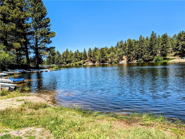 32953 Juniper Ln, Green Valley Lake, CA 92341 - water view
