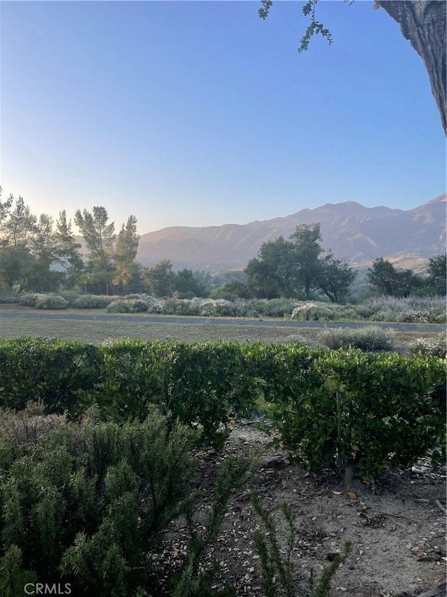 21 Lobelia, Rancho Santa Margarita, CA 92688 - mountain view with rural landscape