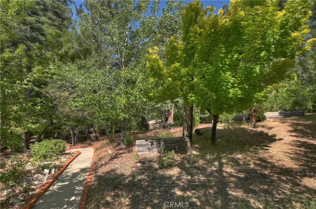 29729 Katherine Way, Cedar Glen, CA 92321 - surrounding community