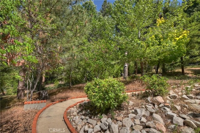 29729 Katherine Way, Cedar Glen, CA 92321 - view of yard