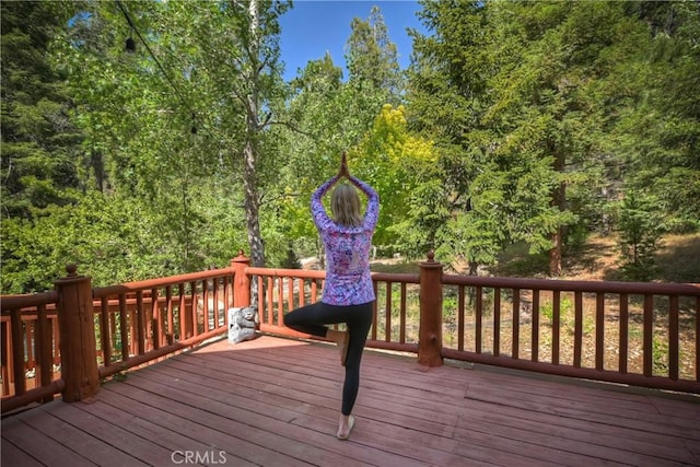 29729 Katherine Way, Cedar Glen, CA 92321 - view of deck