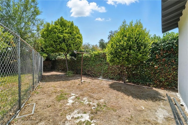 236 N Michigan Ave, Pasadena, CA 91106 - view of yard