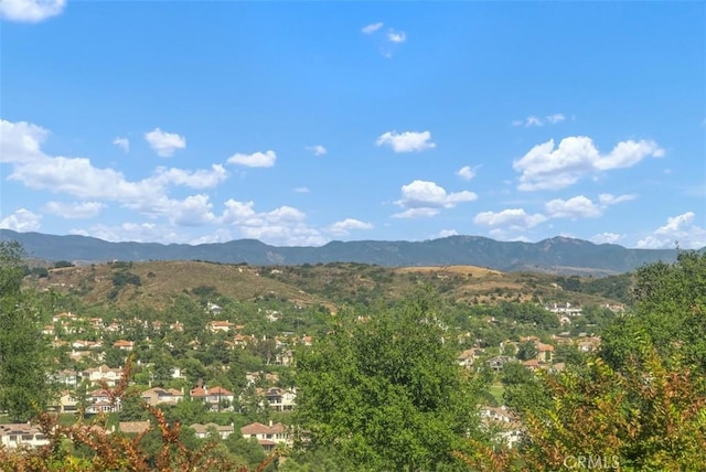 87 Panorama, Coto De Caza, CA 92679 - photo 51