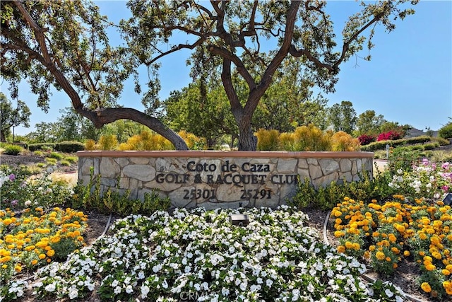 87 Panorama, Coto De Caza, CA 92679 - photo 61