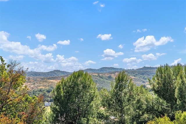 87 Panorama, Coto De Caza, CA 92679 - photo 57