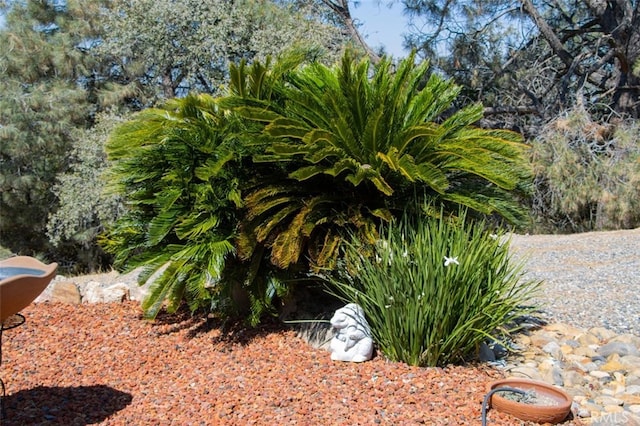 47003 Lookout Mountain Dr, Coarsegold, CA 93614 - view of yard