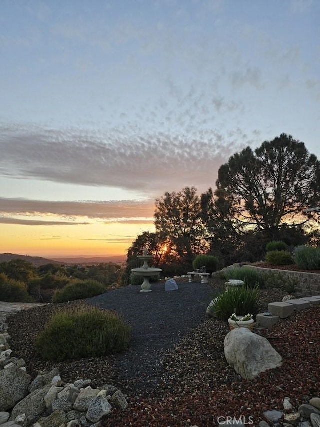47003 Lookout Mountain Dr, Coarsegold, CA 93614 - view of yard at dusk