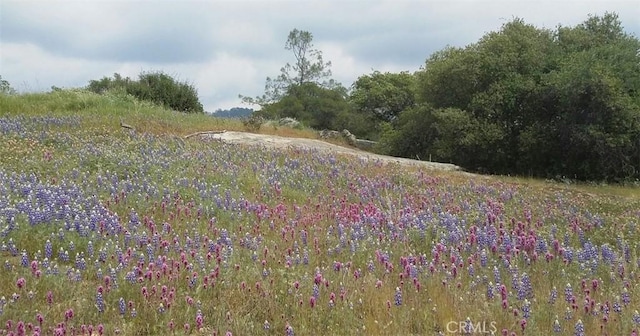 47003 Lookout Mountain Dr, Coarsegold, CA 93614 - view of undeveloped land