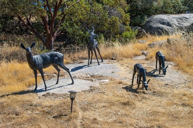 47003 Lookout Mountain Dr, Coarsegold, CA 93614 - view of home's community