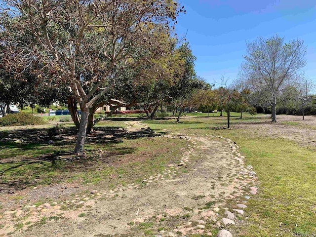 5645 Friars Rd Unit 370, San Diego, CA 92110 - view of yard