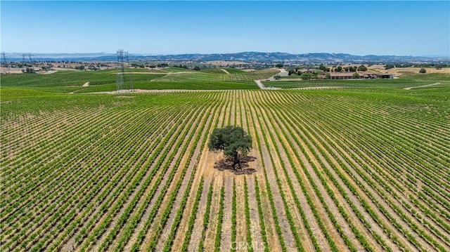 4950 Union Rd, Paso Robles, CA 93446 - photo 3