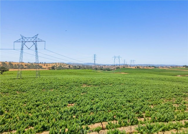 4950 Union Rd, Paso Robles, CA 93446 - photo 61