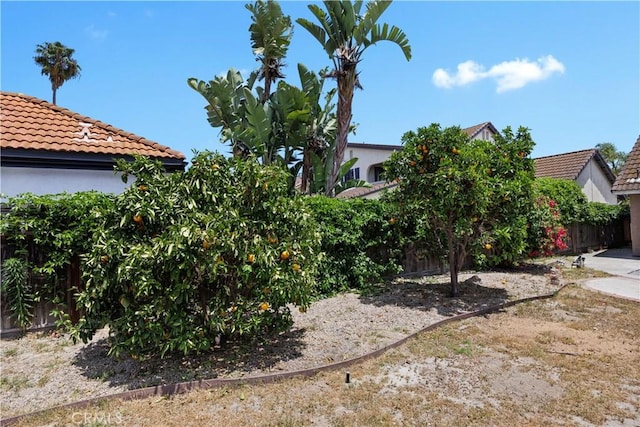 4706 Crestmont Pl, Oceanside, CA 92056 - view of yard