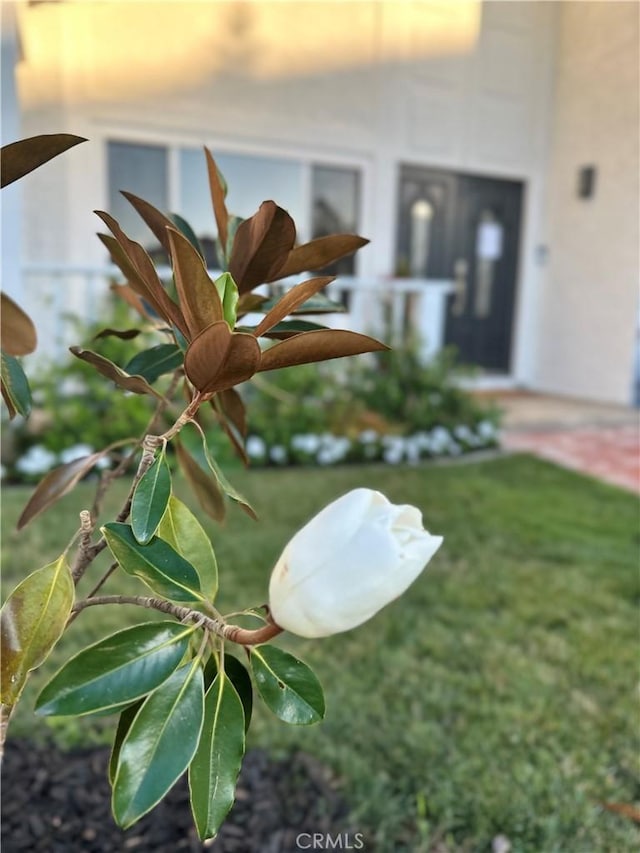 23772 Singapore St, Mission Viejo, CA 92691 - photo 44