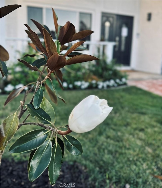 23772 Singapore St, Mission Viejo, CA 92691 - photo 43