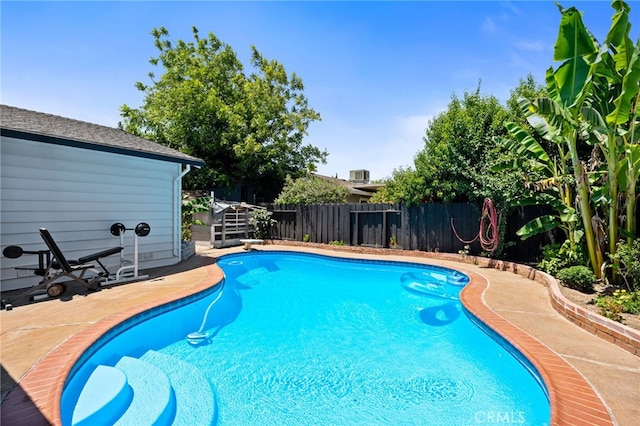 3367 M St, Merced, CA 95348 - view of pool featuring a fenced backyard and a diving board