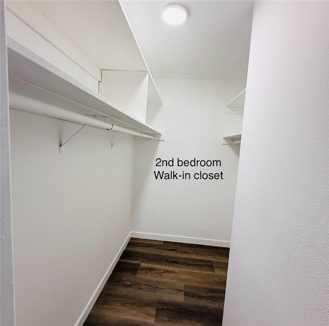 4170 Elm Ave Unit 213, Long Beach, CA 90807 - walk in closet featuring dark wood-style floors