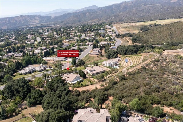 13858 Mustard Seed Dr, Yucaipa, CA 92399 - photo 59