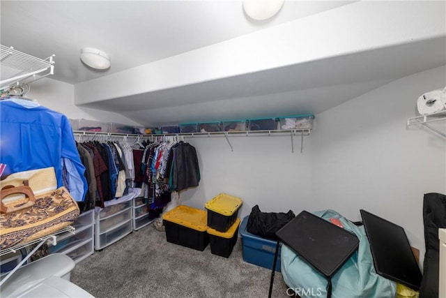 13858 Mustard Seed Dr, Yucaipa, CA 92399 - photo 36