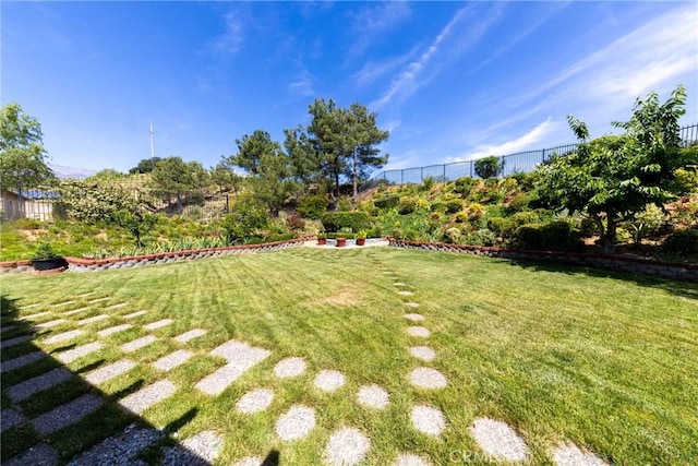 13858 Mustard Seed Dr, Yucaipa, CA 92399 - photo 48