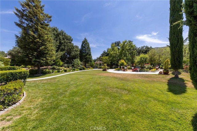 13858 Mustard Seed Dr, Yucaipa, CA 92399 - photo 8
