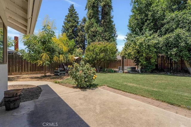 801 Vine St, Exeter, CA 93221 - fenced backyard with a patio area