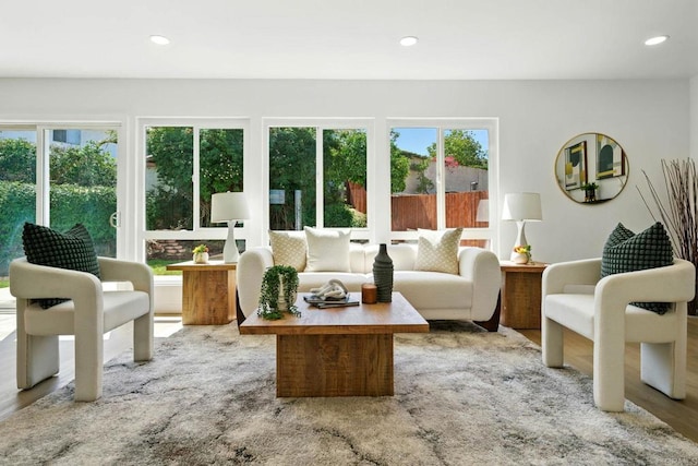 305 Spruce St, Chula Vista, CA 91911 - living room featuring recessed lighting