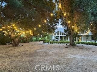 16261 Pineview Rd, Canyon Country, CA 91387 - view of yard