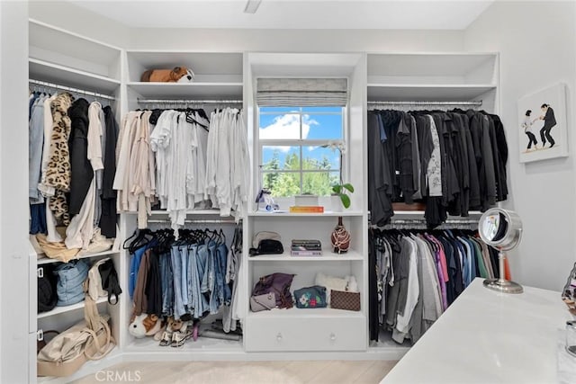 16261 Pineview Rd, Canyon Country, CA 91387 - view of walk in closet