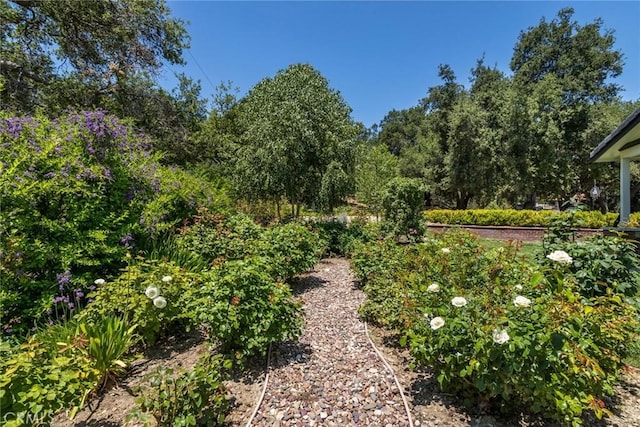 16261 Pineview Rd, Canyon Country, CA 91387 - view of yard