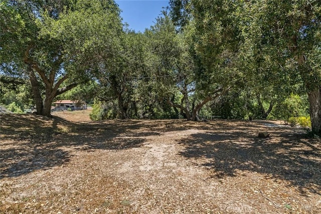 16261 Pineview Rd, Canyon Country, CA 91387 - view of nature