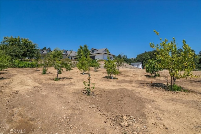 16261 Pineview Rd, Canyon Country, CA 91387 - view of yard