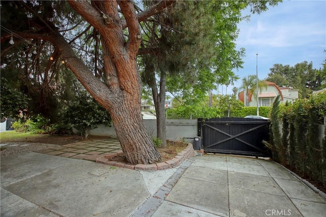 738 S Norton Ave, Los Angeles, CA 90005 - view of gate
