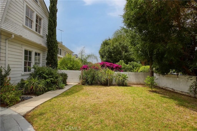 738 S Norton Ave, Los Angeles, CA 90005 - view of yard