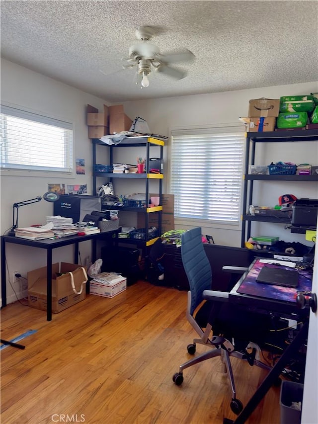 8050 Calendula Dr, Buena Park, CA 90620 - photo 6